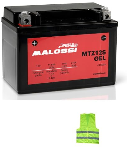 COMPATIBILE CON HONDA VTR SP1 - VTR SP2 - RC51 1000 per anno 2000 al 2006 BATTERIA YTZ12S MALOSSI MTZ12S IN GEL FORNITA CARICA E PRONTA ALL’USO BATTERIE ATTIVE 11 AH AMPERE 12 VOLT 150X88X110MM