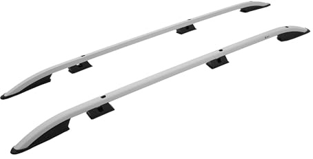 TURTLE Für Citroen Jumpy(Mk3) 2017-2024 / Kurzes Chassis Crown Dachreling | GRAU
