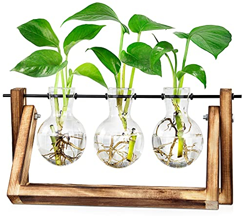 LESES Floreros de cristal, plantas de aire, terrario, cebolla, con columpio, de madera, estación de propagación para hidropónico, plantas, oficina, casa, jardín, 3 jarrones de cebolla