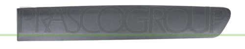 PRASCO CI9181454 Baguette et bande protectrice porte arrière gauche noir Compatible avec CITROËN Berlingo II B9 Berlingo II Van B9 Berlingo/Berlingo First I Van M