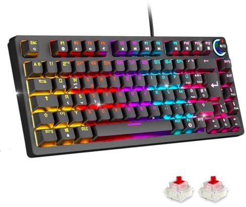 EMPIRE GAMING K248 – Mechanische Gaming-Tastatur mit Multimedia-Rad für Lautstärke & RGB, DE QWERTZ, MX Red, USB-C Kabel, 82 Tasten, Anti-Ghosting, PC/PS4/PS5/Xbox (Schwarz)