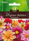 Dahlia, Mignon-Mischung