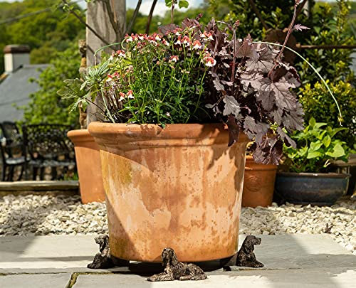 Potty Feet Irish Setter Themed Plant Pot Feet - Bronze Color - Set of 3