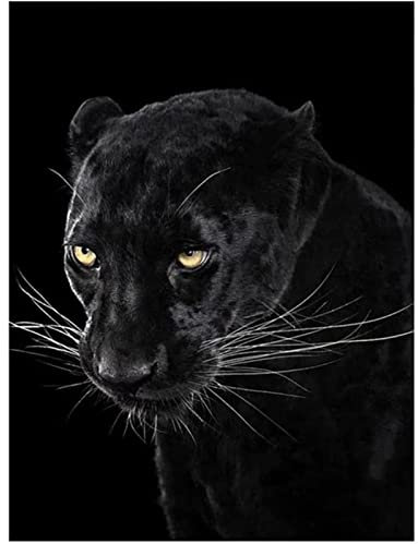 YSCOLOR Diamant Painting Diy 5D Diamant Malerei Kits Für Erwachsene Black Panther Full Round Drill Bilder Diamond Art Crafts Canvas Home Decor 30x40cm