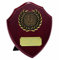TROPHIESPLUSMEDALS Triumph Gold Laurel Wooden Presentation Shield - 20 cm / 8 | Self-Standing Wooden Display Award for Recognising Achievement | Free Engraving | Acknowledge & Celebrate Success