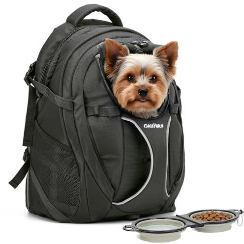 DAISTERN Hunderucksack Katzenrucksack Wandern bis 8KG Schwarz
