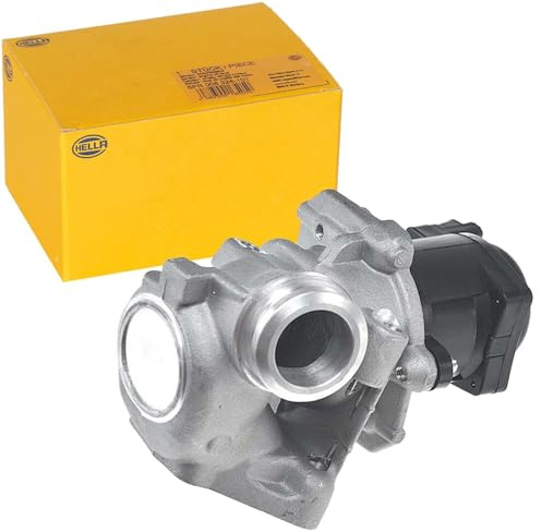 HELLA 6NU 010 171-091 EGR Valve - 12V - Electric - with seal - with clamp