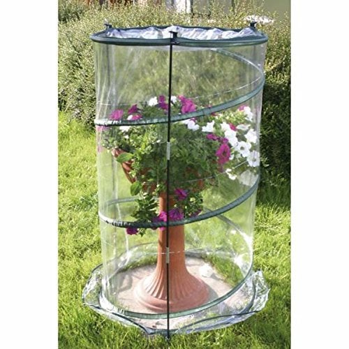 Verdemax - Serra Pop-up Anthurium cm 70xh110