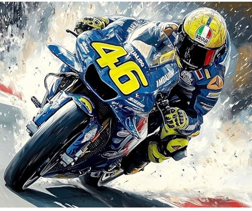NEWENMO Racing Driver Paint by Numbers Kits Adults Digital Oil Painting | DIY Acrylic Pigment Paintwork Featuring Motorcycle Pattern,Abstract Paint by Numbers,Digital Oil Painting Home Decor,40x50cm