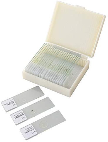 Hemobllo 25 Stücke Kinder Dauerpräparate für Mikroskop Objektträger mit Präparate Deckgläser Set mit Kasten (25 Arten von Insekten)