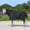 Horsenjoy Pferdedecke Regendecke Winterdecke Outdoordecke Paddockdecke mit Halsteil 300g 200g Füllung Aspen (135 cm, 300 g schwarz)