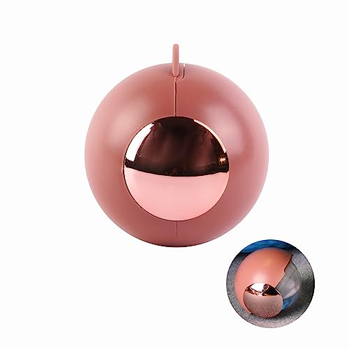 Upgrading Wiederverwendbare Fusselroller, waschbar, klebriger Roller, Tierhaarentferner, Entfernen von Hunde- und Katzenhaaren, selbstreinigende Fusseln, tragbar, Reisebürste, Staubentferner (braun)