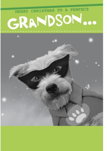 Merry Christmas A Perfect Grandson Funny Christmas Card Quitting Hollywood Cards XRA3287