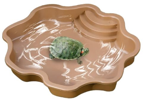 Piscine de bain pour reptiles – Grand bol d'alimentation pour tortues | Habitat pour tortues avec rampe, nourriture et bol d'eau pour tortues pour lézards, geckos
