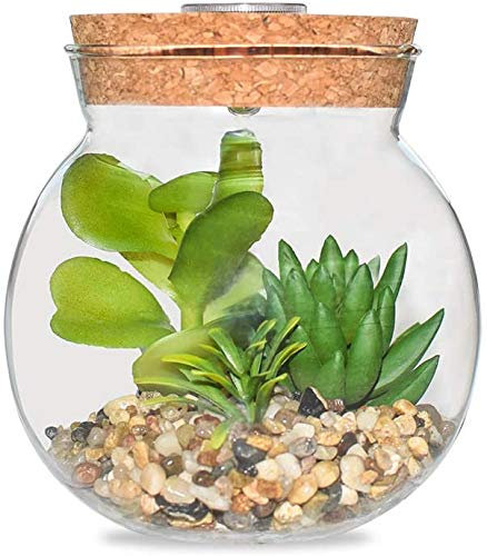 Kit de Acuario, jarrón de Cristal con luz LED y Plantas suculentas Falsas sopladas a Mano con Globo Artificial, terrario con Flores (Estilo B)