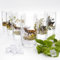 GTK - Geweihe & Trophäen KRUMHOLZ 6 teiliges Longdrink Gläser 400ml Set Höhe 13 cm Glas mit farbigen Jagd Dekor Motiv im Geschenk Karton