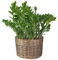 Dibor Natural Willow Wicker Planter Indoor/Outdoor Plastic Lined Rattan Flower Pot Strawberry Herb Plant Pot (L)