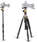 ZOMEi Z818 Lightweight DSLR Tripod With 360 Degree Ball Head and Carrying Bag For Canon Nikon Sony Samsung Olympus Cameras (Gold)