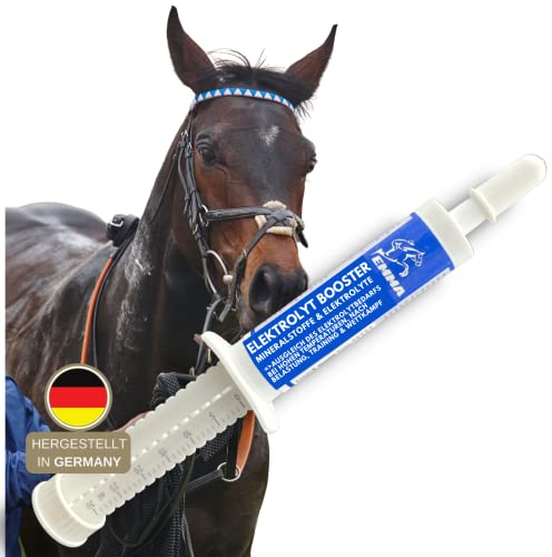 Electrolitos Caballo - Pasta vitamínica I Complejo vitamínico b I Electrolitos para Caballos Sodio Potasio Magnesio I Alimento Mineral después de la diarrea Agua de vómito Sales minerales 1pc.