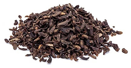 STAWA Schwarze Soldatenfliegenlarven, dunkel - Hermetia Larven getrocknet, ohne künstliche Konservierungs- und Zusatzstoffe, 1 kg