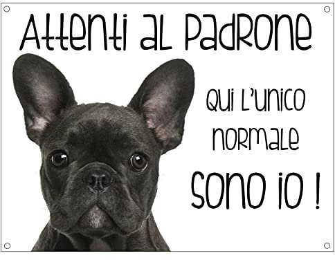 CARTELLO CANE - BULLDOG FRANCESE Attenti al padrone qui l'unico normale sono io - Con Adesivo in Vinile e Pannello in Forex (Pannello 5mm Stampato)