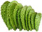 1kg Pale fico d'india fresche per cucinare commestibili nopal - O. ficus indica