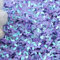 Gemischte fluoreszierende Pflaumen-Pailletten für Nageldesign, glitzernde Glitzer-Nagelkunst-Dekoration, Nagelkunst-Zubehör, DIY-Kleidung, Pailletten, 10 g, Hellviolett, 10 mm, 50 g
