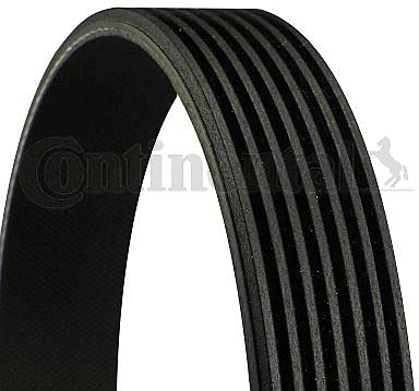 CONTITECH 6548400000 Keilriemen geriffelt,