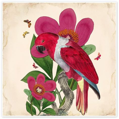 Exotische Papageien VI Poster von Mandy Reinmuth 30 x 30 cm Rot Collage Wanddeko