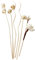 VOANZO Rattan-Duftdiffusor und Blumen-Ersatz-Rattanstäbchen für Zuhause, Büro, Dekoration und selbstgemachte Raumduft, 6 Stück