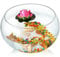 peceras Cilindro Redondo Redondo Goldfish Tank Creatividad ecológica Tanque de Pescado de Vidrio Tanque de Tortuga Grande Hidropónico Jarrón del Tanque peceras para Peces (Color, Size :
