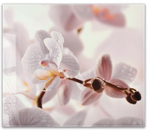 Herdabdeckplatte 60x52 cm einteilig – Orchidee, Blüten, zarte Pastellfarben, elegante Blumen, Naturmotiv, Wellness | ESG Glas Ceranfeldabdeckung, Schneidebrett, Abdeckplatte
