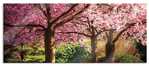 Pixxprint Glasbild Panorama, Wandbild aus Echtglas, Rosa blühende Kirschbäume, 100x40 cm, inkl. Aufhängung und Abstandshalter