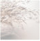 Bilderwelten Fototapete Gräser 240cm x 240cm Blumen Modern Natur Blumentapete Vliestapete Tapete Wanddeko Ideen Wohnzimmer Schlafzimmer Küche