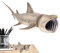 Kongque Jouet Requin Marteau,Figurines d'animaux Marins de mer de Simulation Jouets de Requin pèlerin | Ornement Amusant de Requin Jouet éducatif précoce pour la Sensibilisation à l'environnement