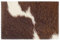 Tischset, Tischsets, Tischsets, wasserdicht, rutschfest, hitzebeständig, waschbar, 6 Stück,Echtes braunes und weißes Kuhfell