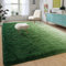 DweIke Extra großer, flauschiger Teppich, 1,8 x 2,9 m, dunkelgrün, für den Innenbereich, Wohnzimmer, Schlafzimmer, Zuhause, Farbverlauf, bunte Teppiche, zotteliges Plüsch-Kunstfell, Teppiche für