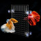 bangminda Aquarium Trennwand Aquarium Tank Trennung Brett Aquarium Isolation Acryl Gitter Fisch Tank Isolation Divider Fischseparator Transparente Platte mit Saugnap für Aquarium (40x30cm)