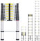 RYDR 5.8M Portable Telescopic Ladder, Multi-Purpose Extendable Ladders with Non-Slip Feet, Adjustable Height Folding Step for Roof Attic Caravans Loft (5.8 Metre)