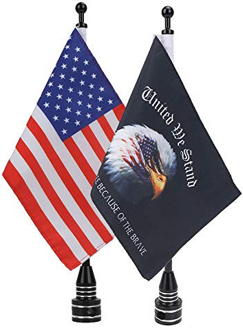 15,2 x 22,9 cm Amerikanische Flagge und Adlerflagge für Motorräder, Flaggenhalterungen und Flaggenmast, passend für Harley Davidson Honda 750 Shadow Goldwing CB VTX CBR Yamaha