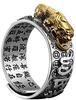 Feng Shui Pixiu Mantra Ring S925 Silber Buddhistische Glück Amulett Mantra Doppel Schutz Reichtum Liebe Gesundheit Ring Geschenk für Männer Frauen