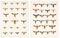 Artery8 Vintage Bug Insects Butterflies Moths Set of 2 Unframed Wall Art Prints Bathroom Bedroom Aesthetic Retro Historical A4