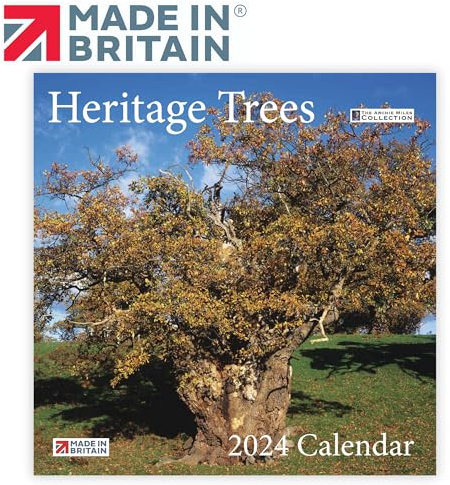 2024 British Heritage Trees-Kalender, umweltfreundlich, hergestellt in Großbritannien auf FSC-Papier, von der Natur inspiriert, mit atemberaubenden Heritage Trees-Fotos von ARCHI