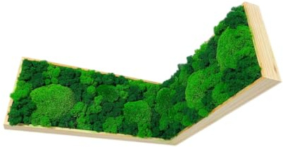 Gedankenwunder Manufaktur Moosbild Eckbild Ball-, Rentiermoos Rechteck Islandmoos