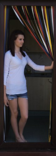 Heavy Duty Bug Blind,Strip Blind/Fly Blind-90cm wide -TRADITIONAL MULTI- Complete With Screw In Fitting Hooks For Wooden Door frames