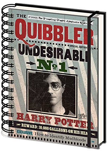 Quaderno A5 Wiro (Quibbler Spirale)