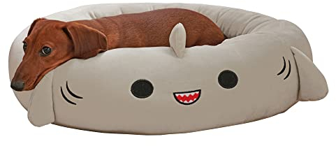 Squishmallows Gordon Shark Haustierbett, 61 cm, mittelgroß, ultraweich, offizielles Plüsch-Haustierbett