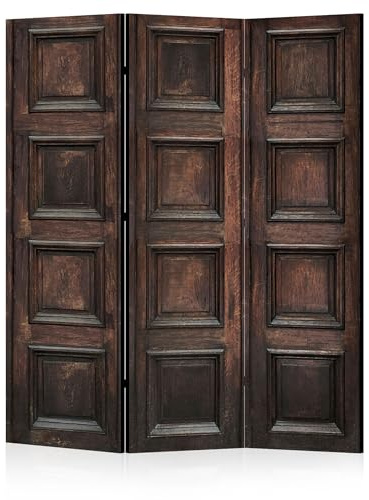 LUMASOUL Paravent Raumteiler Innen beidseitig Bedruckt 135x172 cm Holztür | 5 teilig Vorderseite mit Motiv, neutrale Rückseite, faltbar, freistehend und dekorativ, als Trennwand f13ür Wohnräume