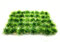 BEGONDIS 40 Pcs Artificial Small Water Plants, Fish Tank Aquarium Grass Decorations, Made of Soft Plastic, Good for All Fish & Pets