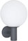 Globo Außenleuchte Wandleuchte Gartenleuchte Hauswandlampe, App- Sprachsteuerung Farbwechsler dimmbar CCT Tageslicht Timer, LED 5W 470Lm warmweiß-kaltweiß, DxH 25x37cm